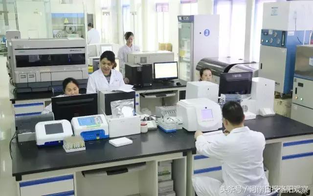 河南广播电视台聚焦健康,河南日报洛宁县