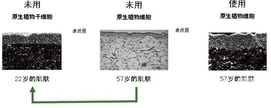 赫莲娜绿宝瓶精华敏感肌用了刺痛,敏感肌用赫莲娜哪一款