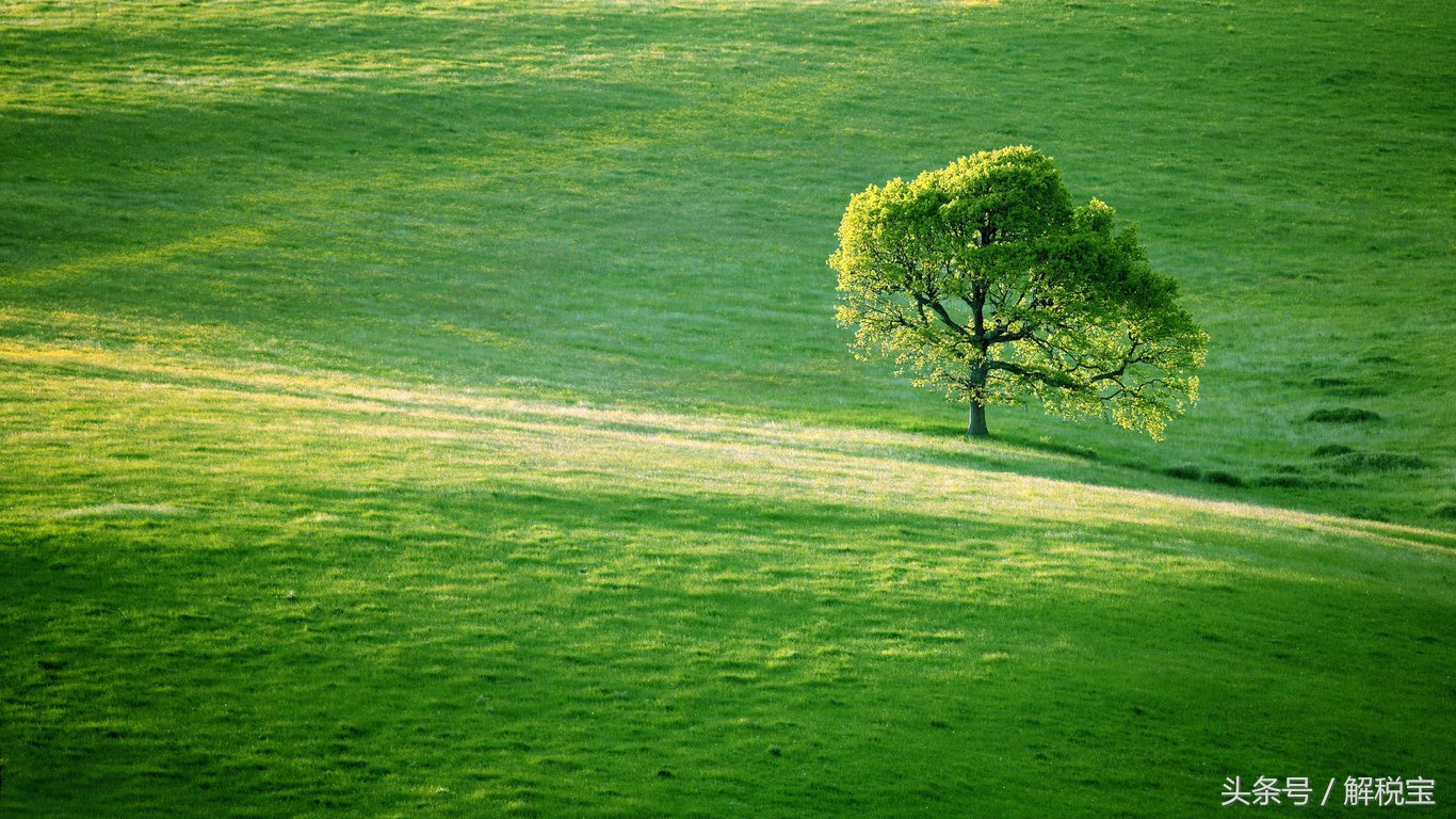 进口货物应纳税额如何作账务处理,进口货物税率计算公式