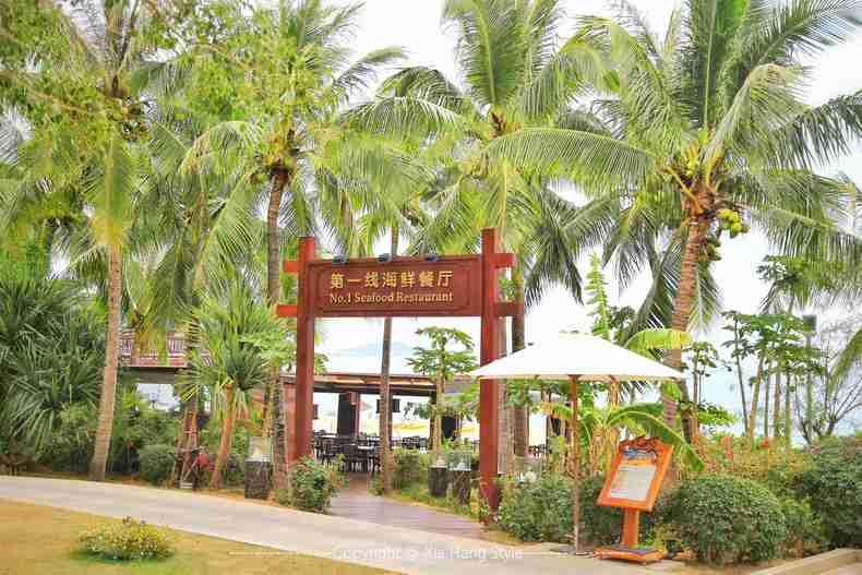 亚龙湾红树林，给你一个温馨的家