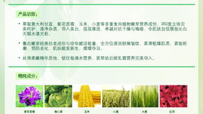 真百代水油平衡系列,真百代紧肌霜