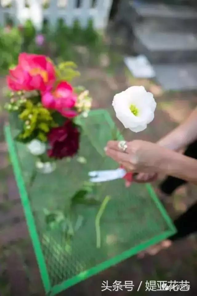 瓶插鲜花怎样才能保存的时间更长,有啥办法可以让插的鲜花时间长久