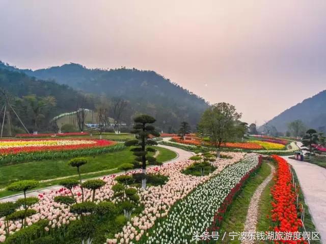 南苑花博园郁金香,除了郁金香还有什么花好看