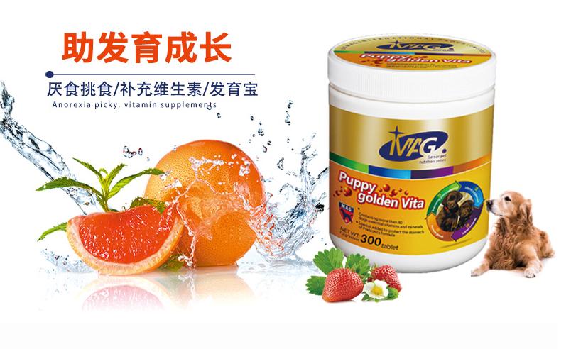 狗狗解析大全,讲解狗狗身体结构