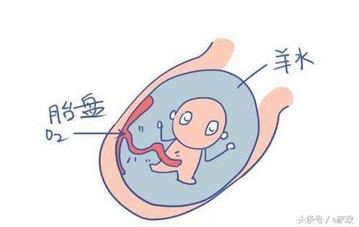 怎么知道羊水浑不浑浊,关于羊水你知道多少