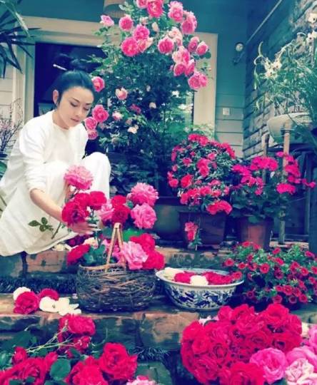 杨丽萍古装照片 (优雅女人杨丽萍)