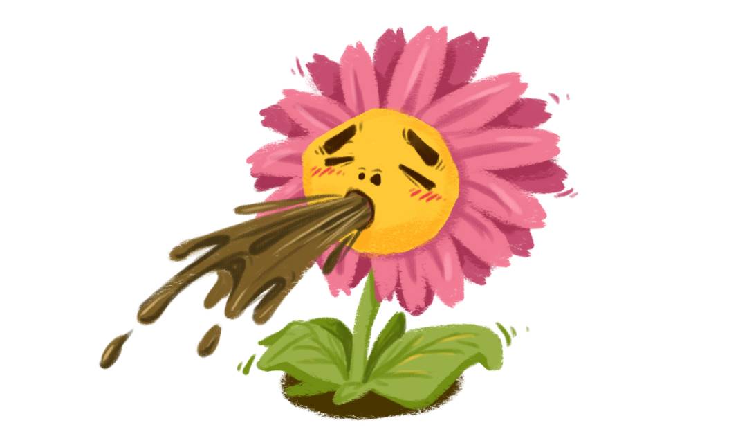 节食减肥怎么减,节食减肥能减多少