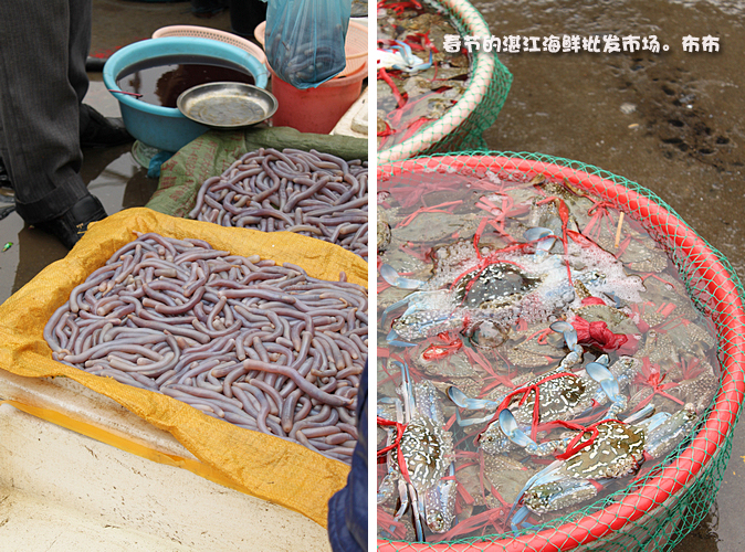 湛江本地人都爱去的地方,湛江一个人去的景点有哪些