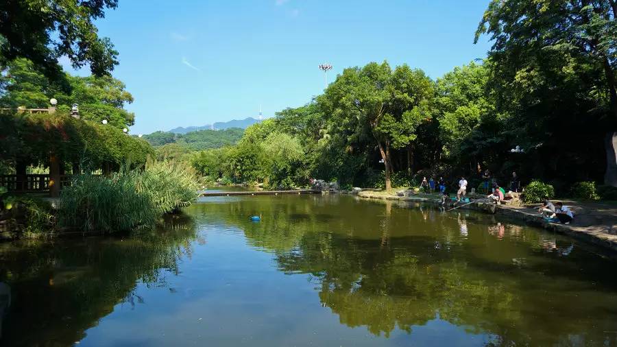 深圳十大免费公园排名前十名,深圳60岁老人免费公园