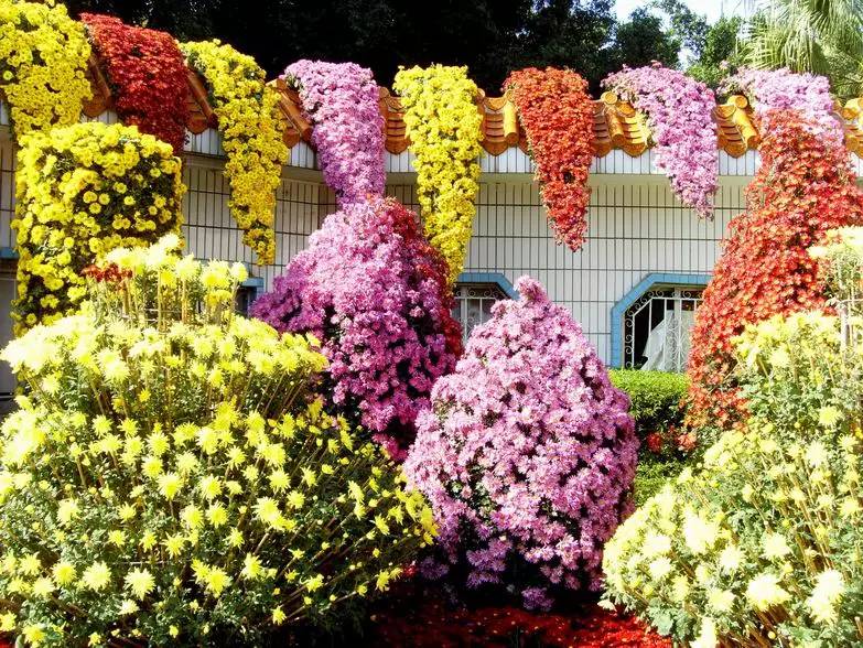 深圳十大免费公园排名前十名,深圳60岁老人免费公园