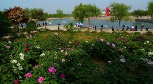 世界那么大!我想去看看之山东菏泽!