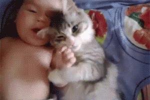 女生生西瓜,妹子吃冰镇西瓜拉肚子