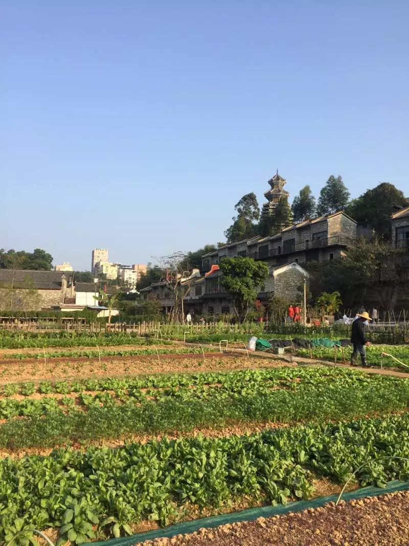 带娃没地方去？就到甘坑客家小镇走一走吧！