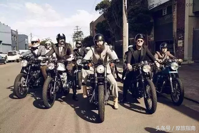 乱花渐欲迷人眼现实版,乱花渐欲迷人眼是什么花