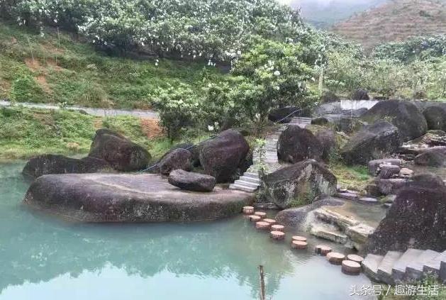 珍稀果种嘉宝果,珍稀福冈嘉宝果