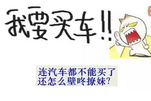 奔腾b30手动挡用车体验,给我的感觉很好什么意思