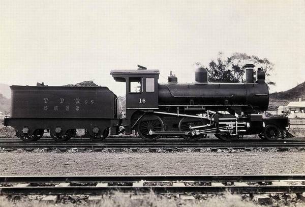 每日花语杜鹃花,每日花语波斯菊