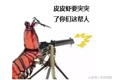 二月吃什么皮皮虾最合适,多少月份能吃到肥美的皮皮虾