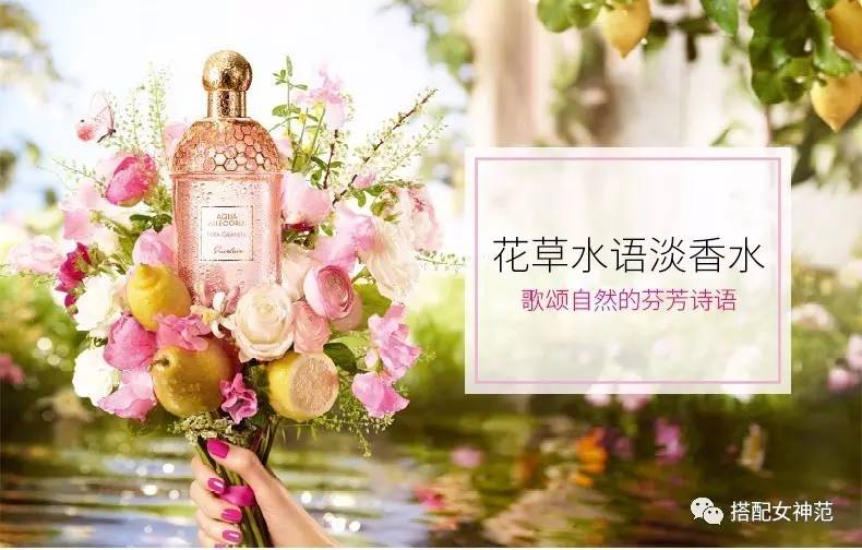 用一句话爱上一瓶香水,对所有的香水爱不释手