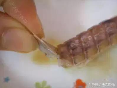 二月吃什么皮皮虾最合适,多少月份能吃到肥美的皮皮虾