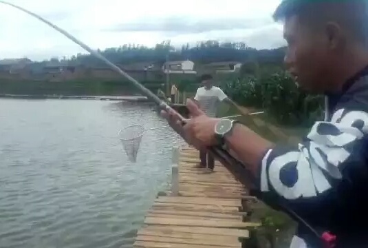 黑坑秋冬季草鳊青通杀饵料搭配,黑坑混养鲫鱼鲤鱼通杀饵料小药