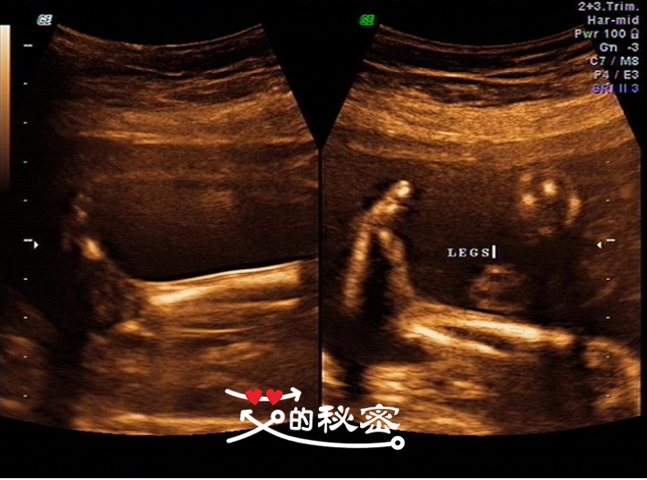 四维空间神秘事件,揭秘四维的存在