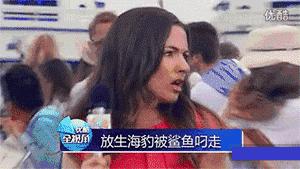 滑板的轮子底里面东西掉了怎么办,滑板的轮子掉了怎么安回去双翘板