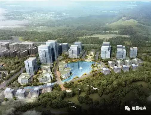 高大上的仙林，属于有梦想的人