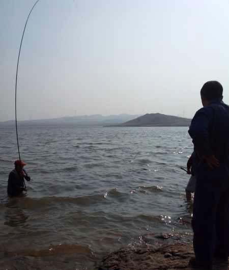 鱼拓手竿,钓巨型鱼手竿