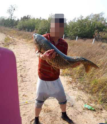 鱼拓手竿,钓巨型鱼手竿