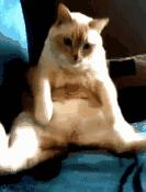 胃痛胃胀打嗝怎么办小偏方,打嗝不止怎么办中医教你小偏方