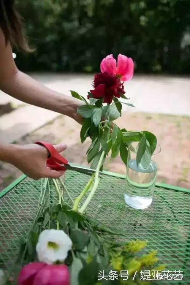 瓶插鲜花怎样才能保存的时间更长,有啥办法可以让插的鲜花时间长久