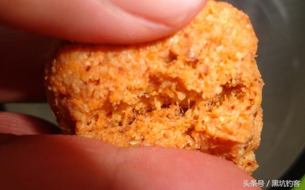 鱼不吃饵的原因和解决方法,鱼在什么情况下不吃饵