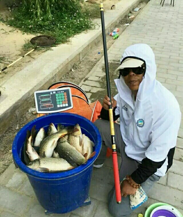 二十四款钓鲢鳙商品饵料介绍,二十四节气钓鱼用饵料味型