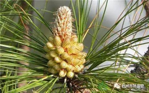 “天下第一粉”“包治百病”“返老还童”，真有这么神吗？