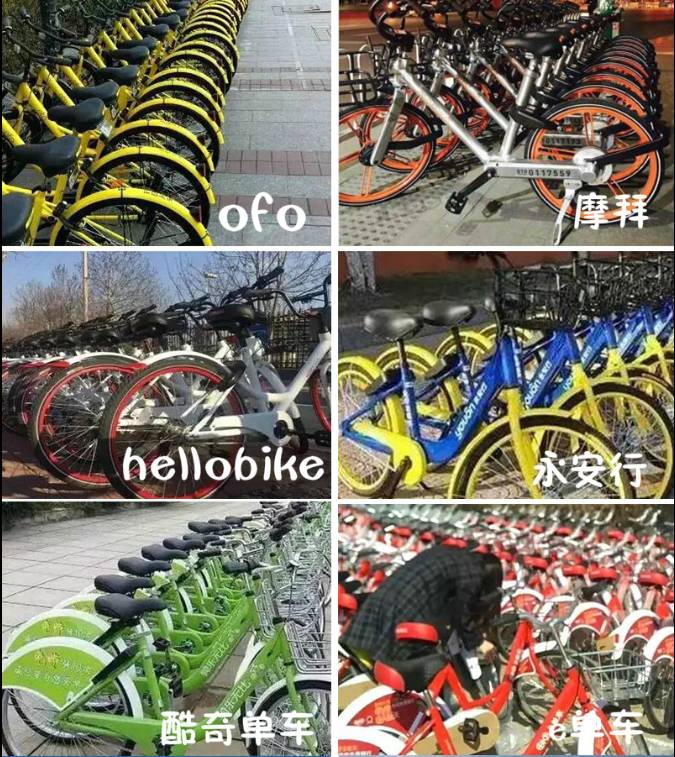 一封辞职信火遍整个日照,又一封辞职信刷爆朋友圈