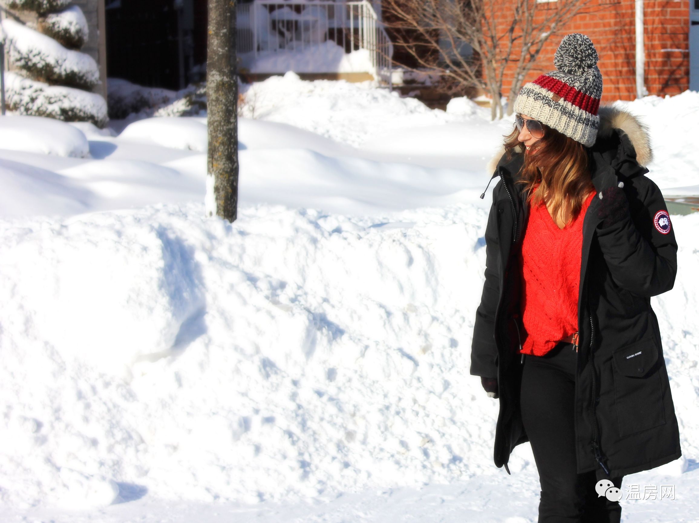 始祖鸟和加拿大鹅羽绒服哪个好,始祖鸟加拿大鹅