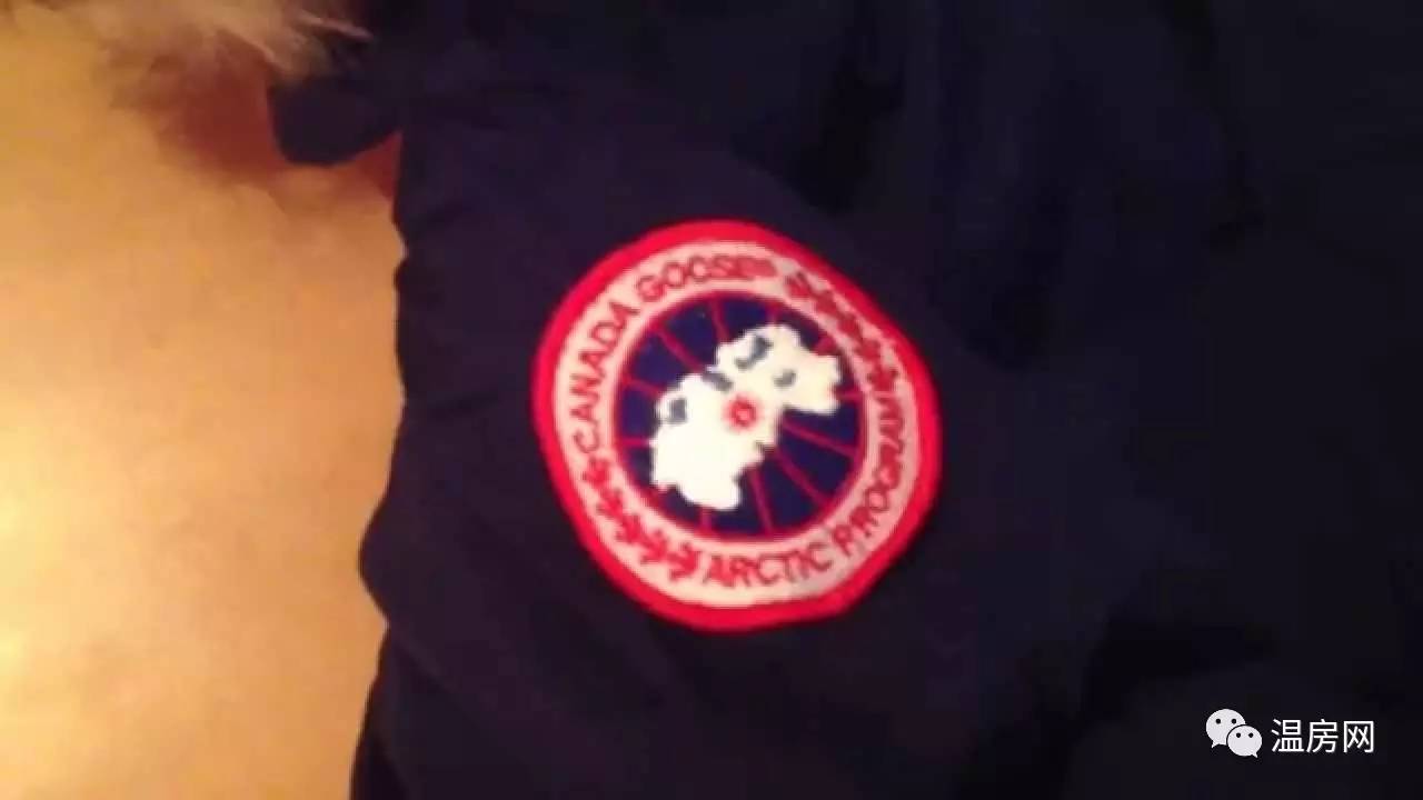 始祖鸟和加拿大鹅羽绒服哪个好,始祖鸟加拿大鹅