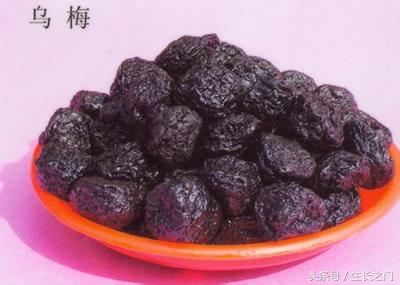 拉肚子乌梅丸,乌梅丸可以治拉肚子吗