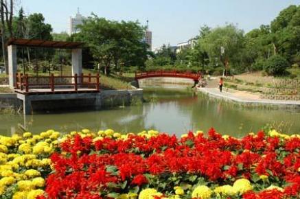 世界那么大!我想去看看之山东菏泽!