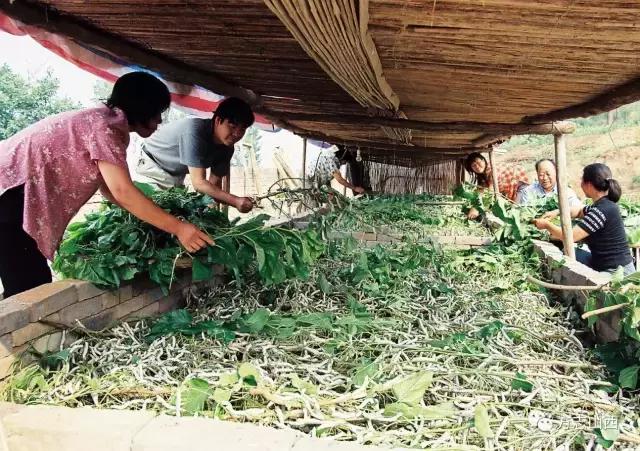 山西阳城什么比较出名,名列三城