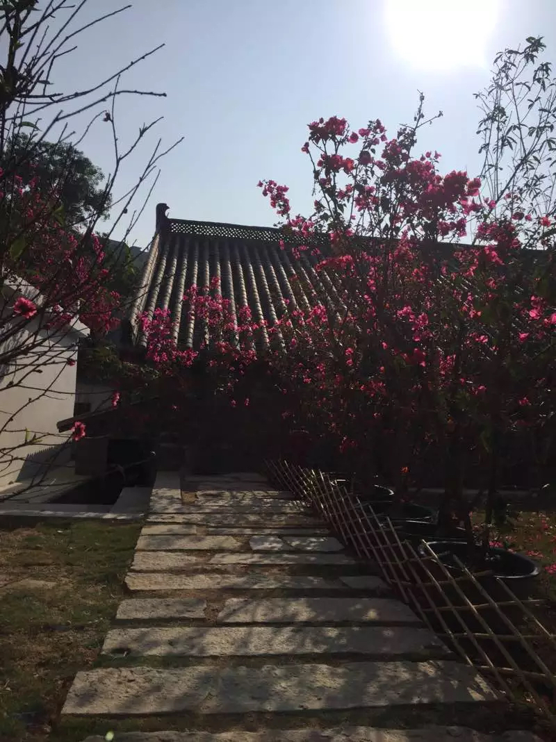 带娃没地方去？就到甘坑客家小镇走一走吧！