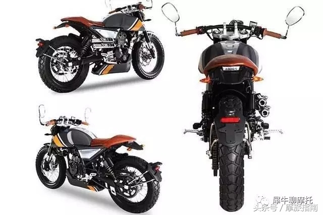 乱花渐欲迷人眼现实版,乱花渐欲迷人眼是什么花