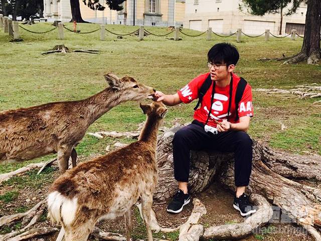 最爱穿西服的王经理，为什么会被白老板带去泰国旅游呢？