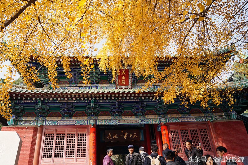 好导游平台,好导游平台推荐讲解