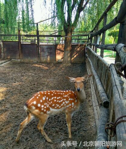 蟹岛亲子游攻略视频教程,蟹岛游玩