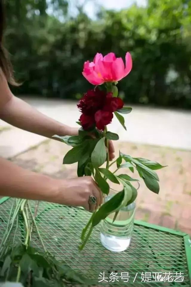 瓶插鲜花怎样才能保存的时间更长,有啥办法可以让插的鲜花时间长久