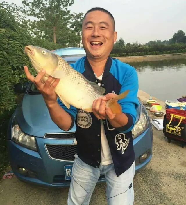 二十四款钓鲢鳙商品饵料介绍,二十四节气钓鱼用饵料味型