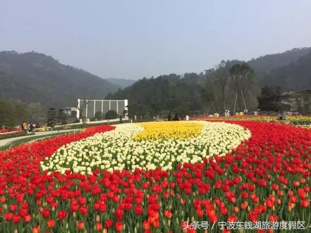 南苑花博园郁金香,除了郁金香还有什么花好看