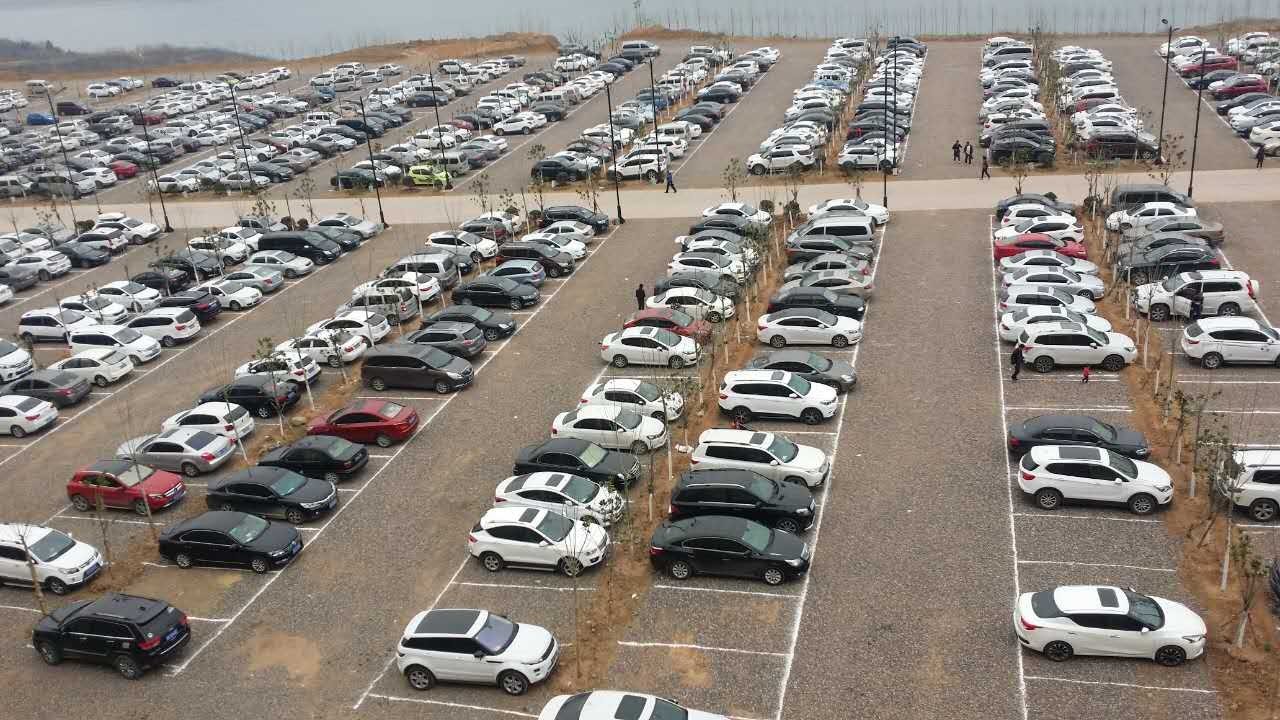 新疆的野玫瑰植物,济源野玫瑰花